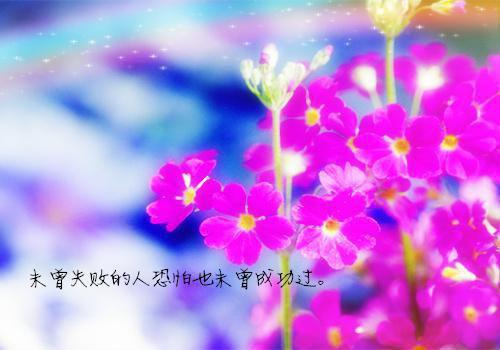 宋泠音的小说途径一场风月：后续在线商予淮宋泠音全文在线阅读