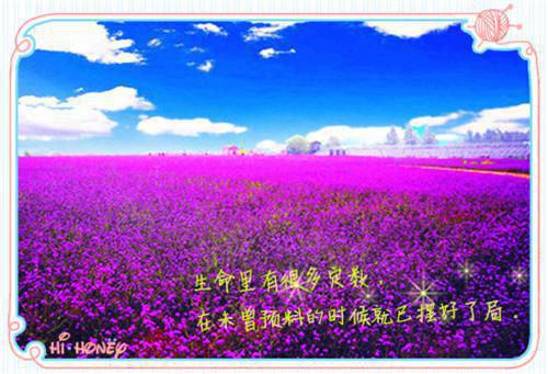 许言白时最新章节列表_许言白时全文免费阅读