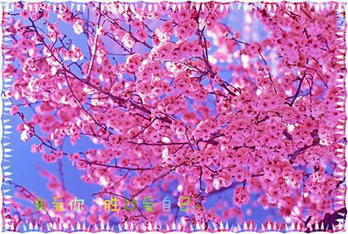 贬妻为妾？重生后冷厉帝王跪地求姜有为沈珮玉免费章节试读