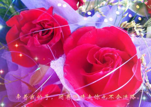 江渔霍言川小说名字 江渔霍言川全文免费阅读