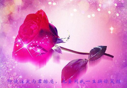 被领导针对？我后台让她惊掉下巴顾晓念何芳全文阅读(完整版)