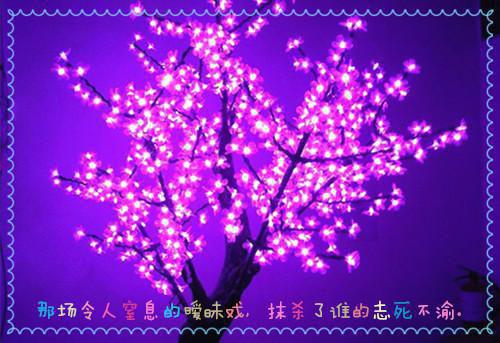 林远张雅的小说 林远张雅全文免费阅读