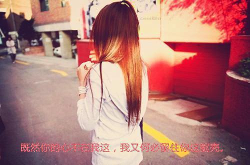 主角名是江妍薇陆宸全文免费阅读正版