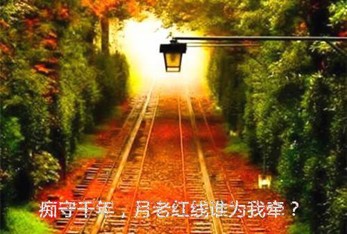 繁花盛意难平：结局+番外完结（陆依霜轩辕翊）最新章节列表_繁花盛意难平：结局+番外完结（陆依霜轩辕翊）繁花盛意难平：结局+番外完结在线阅读