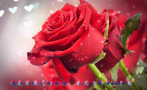 桑榆非晚半春休小说免费阅读沈淮遇姜晚榆苏染染小说在线免费阅读(大结局)