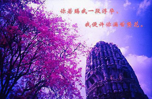 傅承霄姜笙苏晚晚小说最后结局 傅承霄姜笙苏晚晚完结版免费阅读