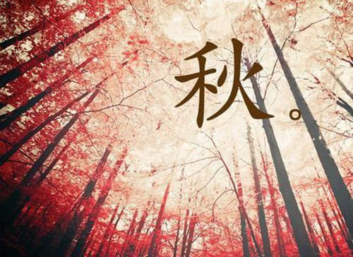 裴书臣林知许沈念念小说阅读 裴书臣林知许沈念念全文免费无广告