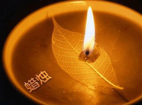 倒贴神王 小说小说全集+延伸+完本（秦盛）畅享在线阅读
