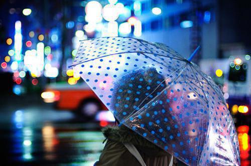 清风霁月恍似梦:结局+番外(宋知意江遇)最新章节列表_清风霁月恍似梦:结局+番外(宋知意江遇)全文+后续+结局在线阅读