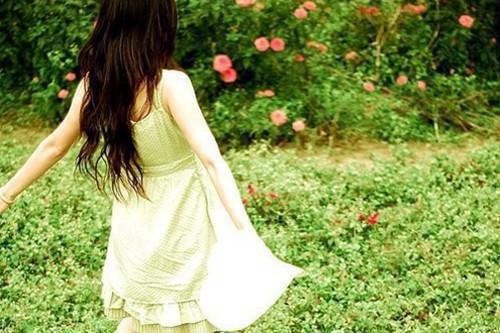 秦臻陆放小说最后结局 秦臻陆放完结版免费阅读