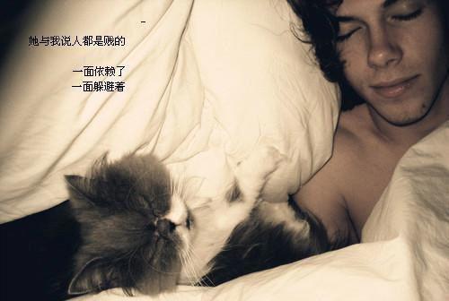 柳青禾陆砚川小说全文阅读 柳青禾陆砚川第四章