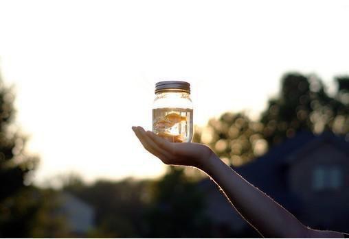 终是过往，不再错付免费阅读顾琛江婉宁小说第1章