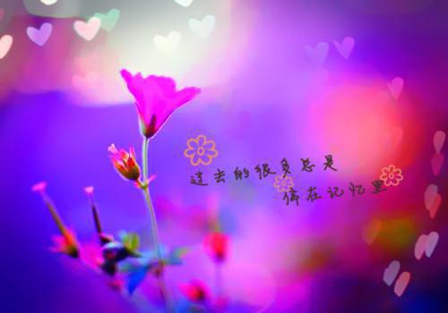 神女老婆，却在背地承欢作乐：+结局+番外+完结（傅雅宁顾尘）最新章节列表_神女老婆，却在背地承欢作乐：+结局+番外+完结全文阅读