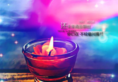 深情为祭，爱成虚影小说(深情为祭，爱成虚影)（谢芸芸沈星）前传+阅读全新作品预订