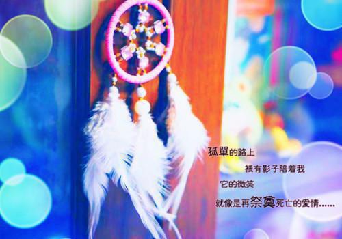 穿越成九千岁孙女后，我杀疯了全文目录 宁言昭秦川小说免费阅读无广告