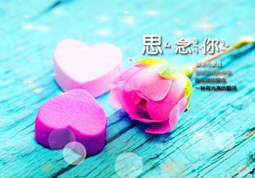 沈屿桉林野小说免费试读 沈屿桉林野第3章