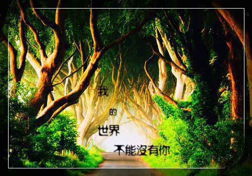 宋芸瑾顾江尧小说全免读 宋芸瑾顾江尧第1章在线阅读