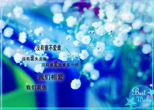 母亲苏晓是什么书 母亲苏晓免费章节在线阅读