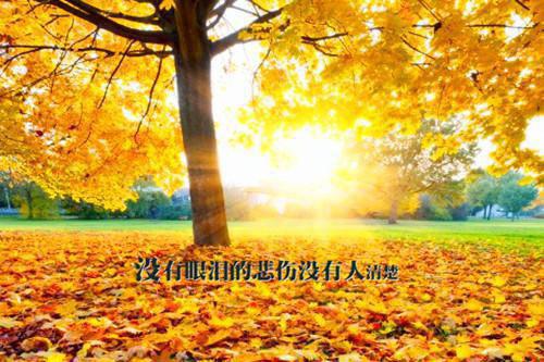 顾国韬崔小燕小说全文 顾国韬崔小燕小说免费阅读大结局