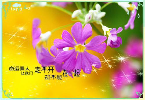 她的荒野我的余生佚名 裴韶温念念小说