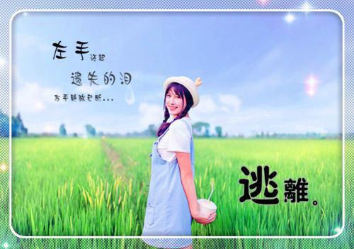 凤念安叶北宸（黄泉情难渡：全文+结局）全文免费阅读无弹窗大结局_凤念安叶北宸最新章节列表_笔趣阁（黄泉情难渡：全文+结局）