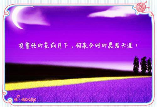 沈晚音顾临渊柳盈盈小说名字 白骨梨花埋旧约：番外+全文+后续章节试读