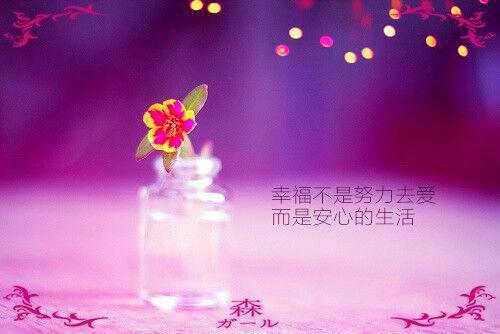 主角名是贺山彭秋华全文免费阅读正版