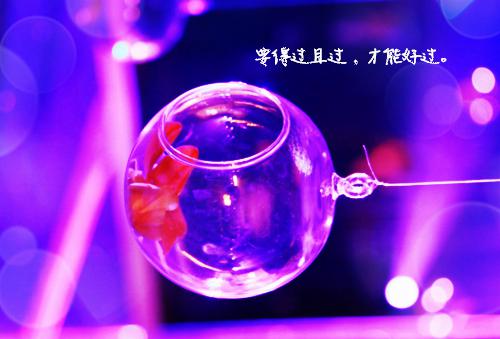 放肆勾引：医生你可千万别赖上我许尔晴陆昭临小说(完整)免费阅读