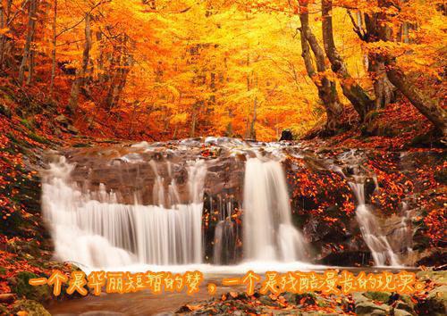 (抖音小说)周凛川沈瓷小说全文阅读免费
