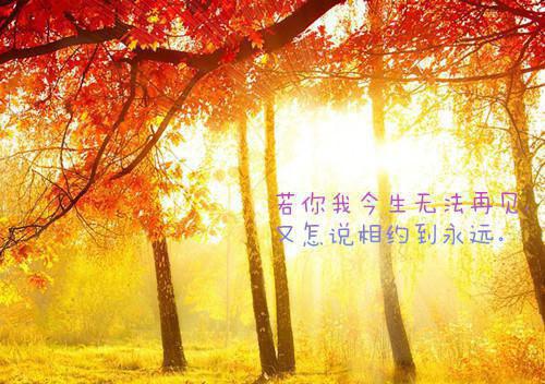 黎姝念孟瑾川完整版 黎姝念孟瑾川小说全文在线阅读