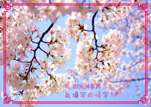 沈清妍方律师免费章节最新 灵媒奶奶死后考验全家召唤笔仙by小说家