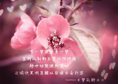 夏思淼祁司野（夏思淼祁司野：结局+番外）全文免费阅读无弹窗大结局_夏思淼祁司野最新章节列表_笔趣阁（夏思淼祁司野：结局+番外）