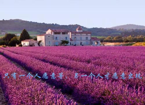 系统在手，专治霸总心理障碍免费阅读 林清芃女娲小说无弹窗