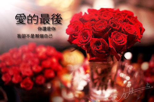 苏辰陈琳小说全文 苏辰陈琳小说免费阅读大结局