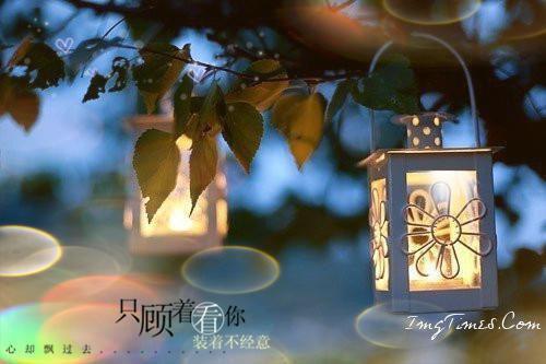 楚若苓顾浩秉小说叫什么 楚若苓顾浩秉小说全文免费阅读
