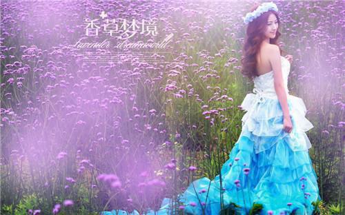 程泽苏若烟免费小说 程泽苏若烟全文阅读目录