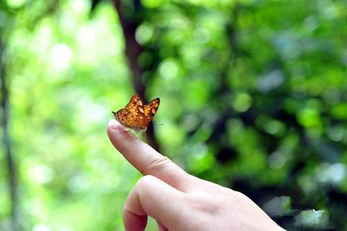 此去经年人未还优质全章全文小说沈青禾霍沉洲小说在线阅读