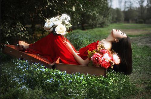 宝璋免费阅读谢锦澜孟宝音孟椿谢玄鹤小说第1章