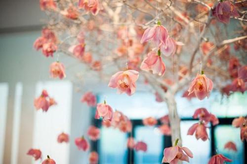 竹马他疯了江别林羽薇最新章节在线阅读