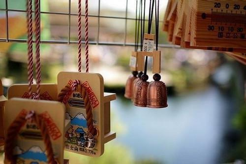 小凤梨最新更新 林晚林晓星小说在线阅读