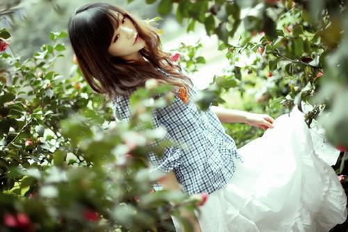 小透明逆袭：误撩后被大佬宠上天：高质量好文最新小说（许惟昭方肃礼）全文阅读