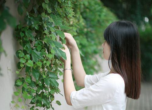 萧景臣云暖燕云寒李川周怀珠免费阅读无弹窗 萧景臣云暖燕云寒李川周怀珠最新章节
