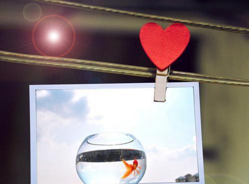 日暮青山绿渐隐：结局+番外（许星森纪冰雪许书阳）全文免费日暮青山绿渐隐：结局+番外无弹窗大结局_(日暮青山绿渐隐：结局+番外许星森纪冰雪许书阳免费阅读