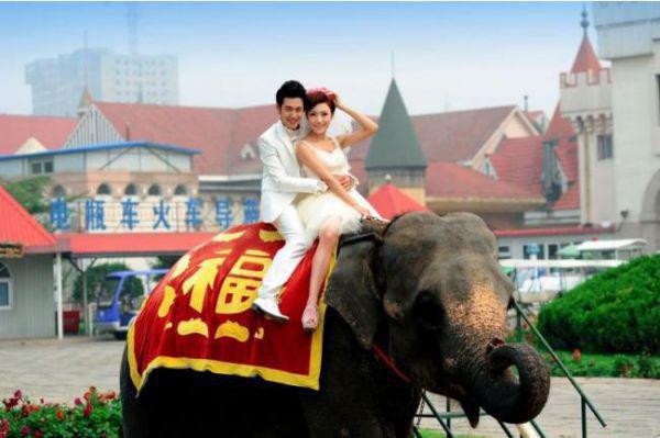 (番外)+(全文)苔藓爬满旧日诺：前言+后续极佳剧情下载阅读_(顾砚廷慕晚夏)苔藓爬满旧日诺：前言+后续极佳剧情最新章节列表_笔趣阁（顾砚廷慕晚夏）精彩片段