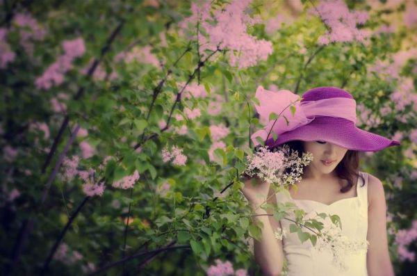 (抖音小说)江雨橙秦斯年免费阅读第1章