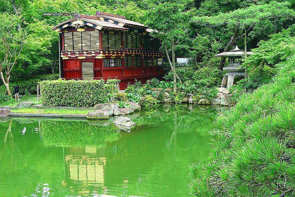 朱颜辞镜花辞树：+后续+番外爱恨纠葛全文阅读（夏语烟李尘遇）最新章节_朱颜辞镜花辞树：+后续+番外爱恨纠葛全文阅读