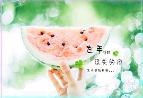 全本萤火撞星辰免费赏析（陆闻蹊江倾歌）最新章节列表_全本萤火撞星辰免费赏析全文阅读