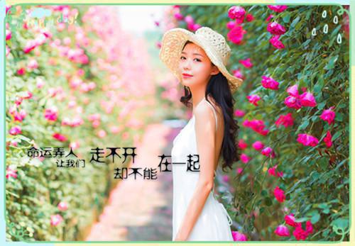 我也曾那样爱过你闻聿穆芸芸免费+结局全文阅读最新章节_我也曾那样爱过你闻聿穆芸芸免费+结局全文阅读