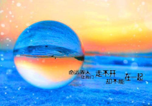 这个家，我是败定了！免费章节抢先阅读
