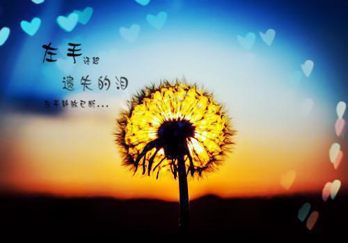 未婚妻助理抢我车位，我选择退婚王阳杨吱吱免费章节试读